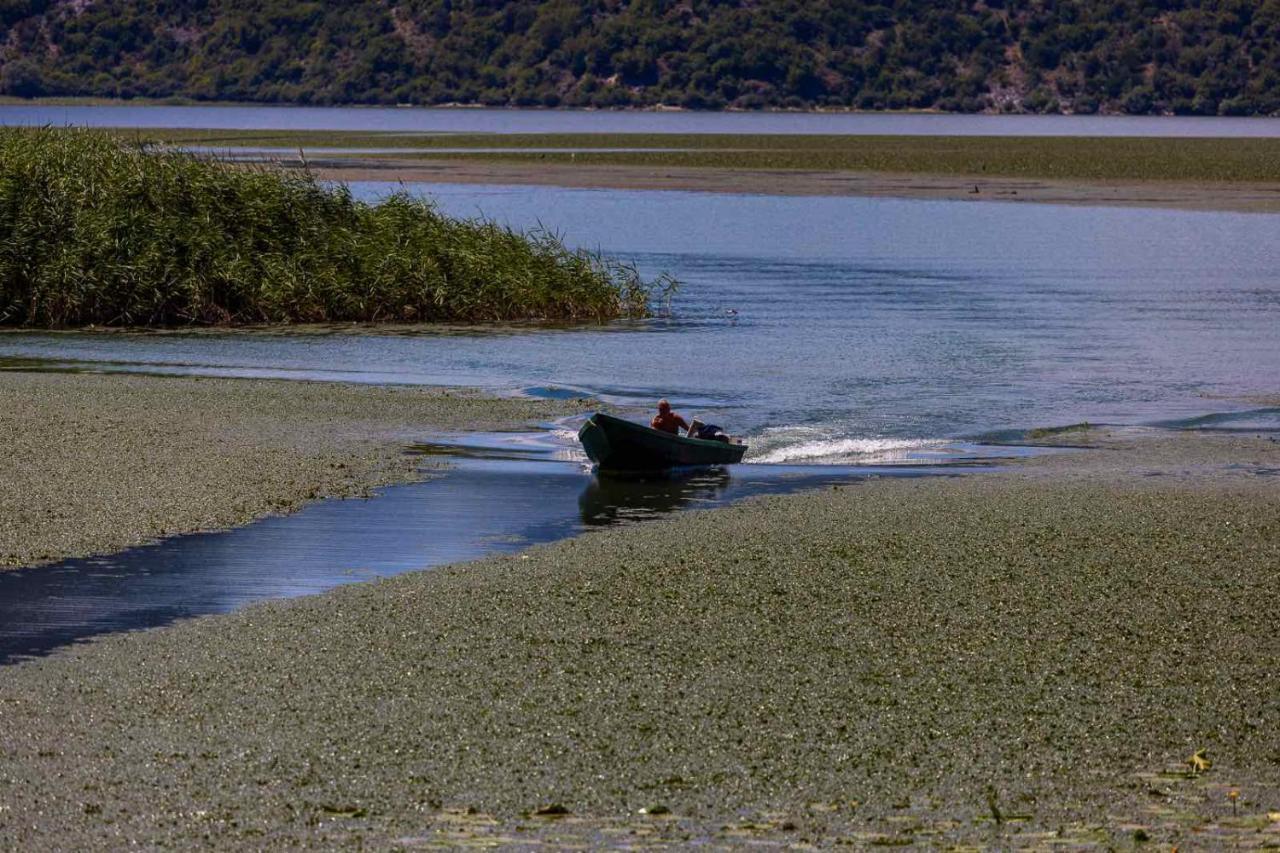 Lake House Buric Vranjina Kültér fotó